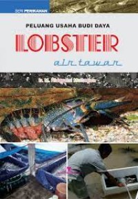 Image of Peluang Usaha Budi Daya Lobster air tawar