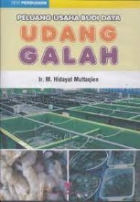 Image of Peluang Usaha Budi Daya Udang Galah